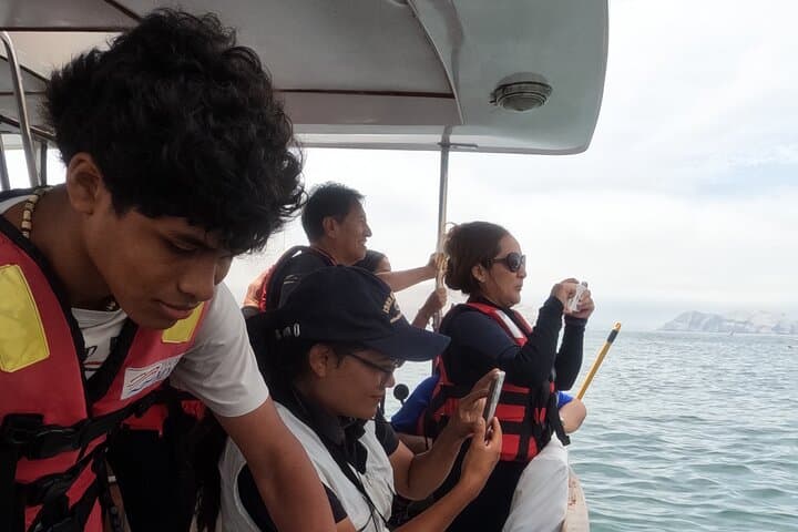 Palomino Islands Yacht Tour: Swim with Sea Lions off Callao photo 5