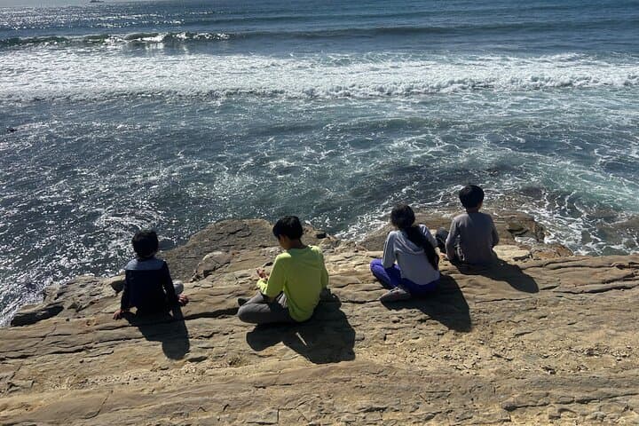 Private Point Loma Tide Pool Tour at Cabrillo National Monument