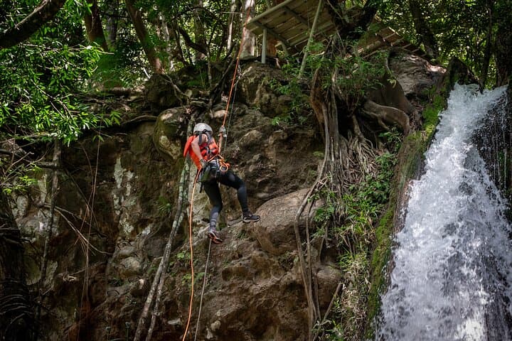 Rincon de la Vieja Canyoning: Waterfall Rappels & Tarzan Swing photo 6