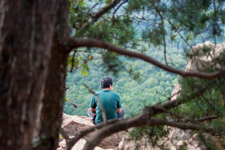 Private Forest Bathing in Banff: Guided Shinrin-Yoku Experience photo 2
