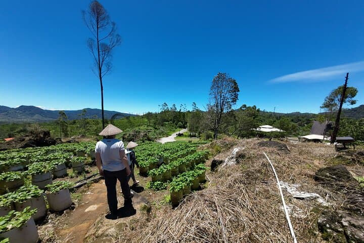 Bandung Volcano & Kawah Putih Hot Spring Private Day Tour photo 4