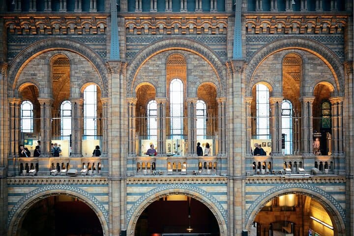 Natural History Museum London: Guaranteed Entry & Mobile Audio Tour Guide photo 3