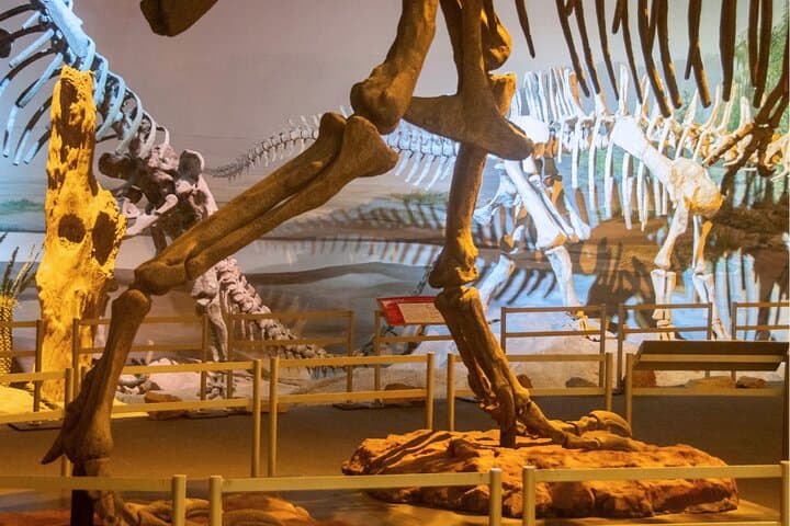 Natural History Museum London: Guaranteed Entry & Mobile Audio Tour Guide photo 4