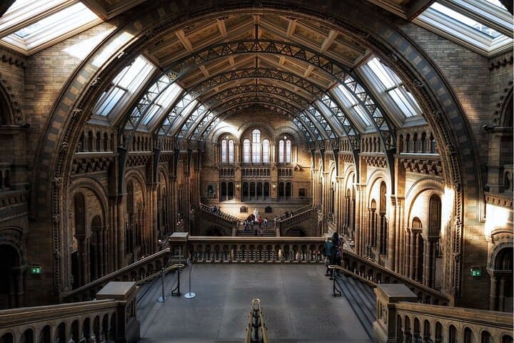 Natural History Museum London: Guaranteed Entry & Mobile Audio Tour Guide photo 6