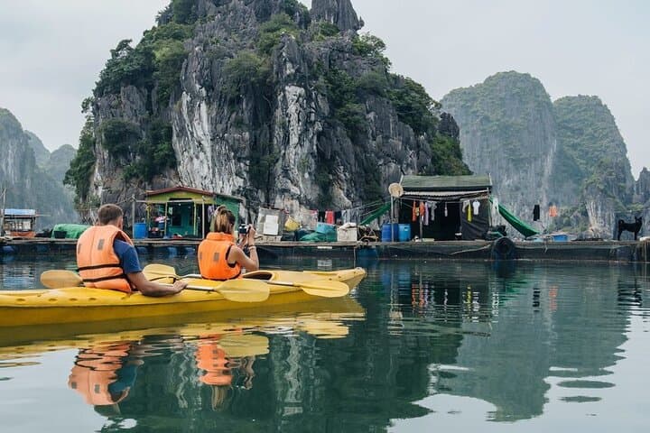 Halong Bay Day Trip & Overnight Cruise: Explore Vietnam's Limestone Islands