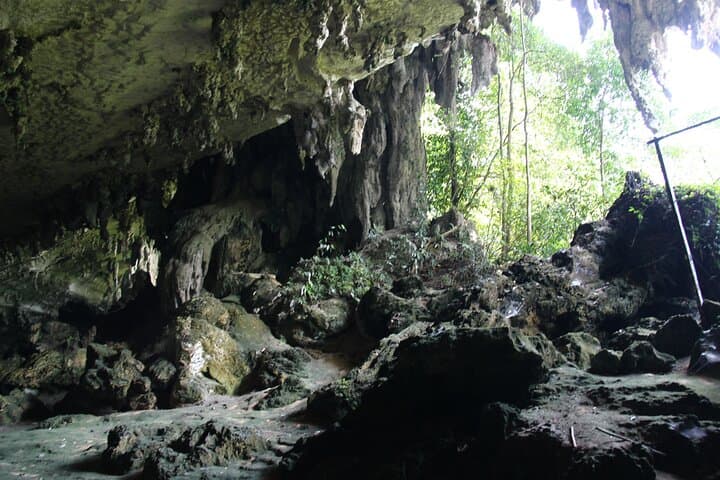 Niah Caving & Iban Longhouse Exploration: UNESCO Caves of Borneo photo 2