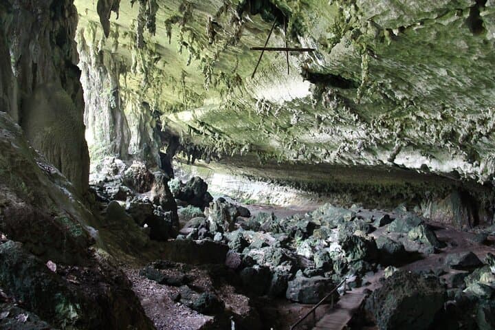 Niah Caving & Iban Longhouse Exploration: UNESCO Caves of Borneo photo 4