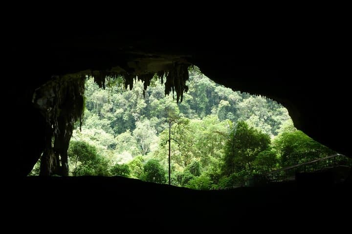 Niah Caving & Iban Longhouse Exploration: UNESCO Caves of Borneo photo 5