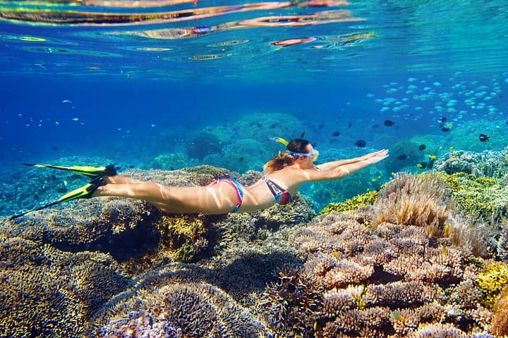 Koh Rok & Koh Haa Speedboat Snorkel — Full-Day Trip from Krabi photo 5