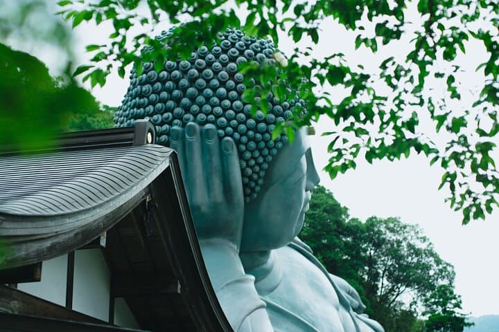 Full-Day from Hakata: Nanzoin Reclining Buddha, Itoshima Totoro Forest & Sakurai Futamigaura photo 3