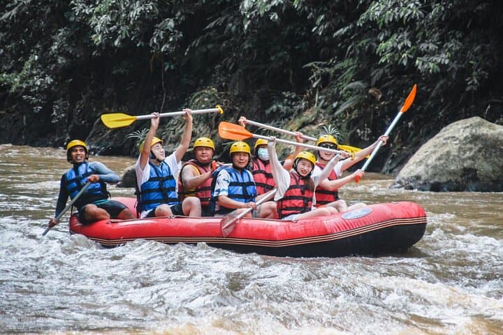 Ayung River Rafting & Ubud Adventure — Customizable Day Tour with ATV and Bali Swing