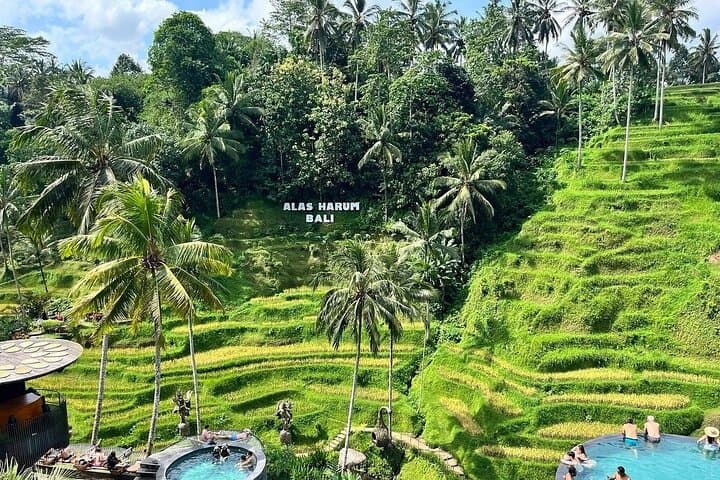 Ayung River Rafting & Ubud Adventure — Customizable Day Tour with ATV and Bali Swing photo 6