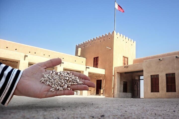 North of Qatar Day Trip: Al Zubara Fort, Al Khor Harbor & Thakhira Mangroves photo 3