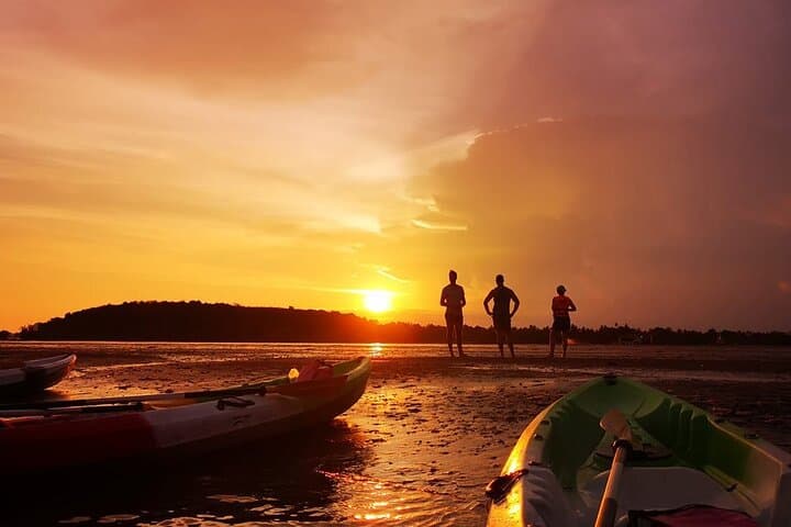 Ao Thalane Sea Kayaking: Krabi Mangroves, Caves & Limestone Lagoons photo 4
