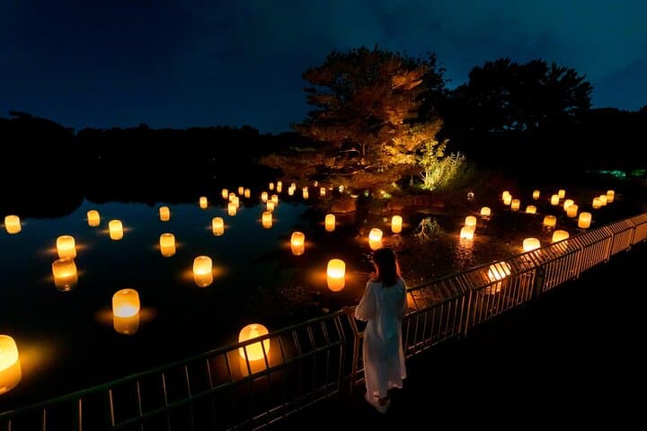 teamLab Botanical Garden Osaka: Nighttime Digital Art Walk in Nagai Botanical Garden