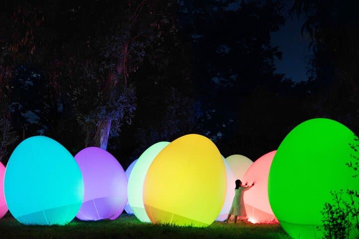 teamLab Botanical Garden Osaka: Nighttime Digital Art Walk in Nagai Botanical Garden photo 2