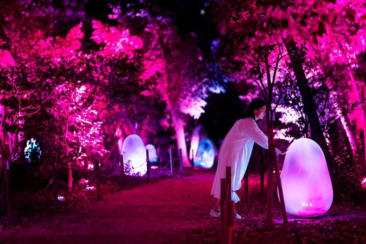 teamLab Botanical Garden Osaka: Nighttime Digital Art Walk in Nagai Botanical Garden photo 3