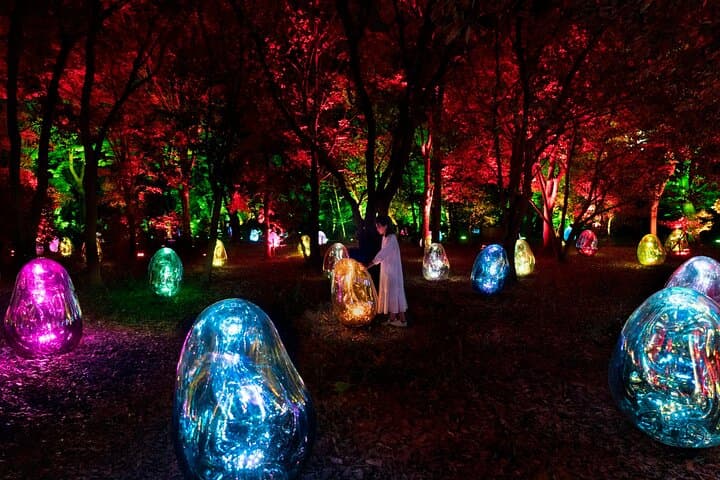 teamLab Botanical Garden Osaka: Nighttime Digital Art Walk in Nagai Botanical Garden photo 4