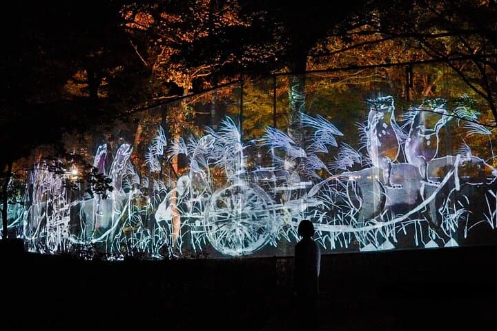 teamLab Botanical Garden Osaka: Nighttime Digital Art Walk in Nagai Botanical Garden photo 5