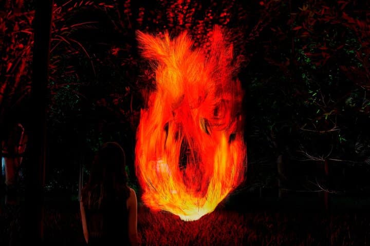 teamLab Botanical Garden Osaka: Nighttime Digital Art Walk in Nagai Botanical Garden photo 6