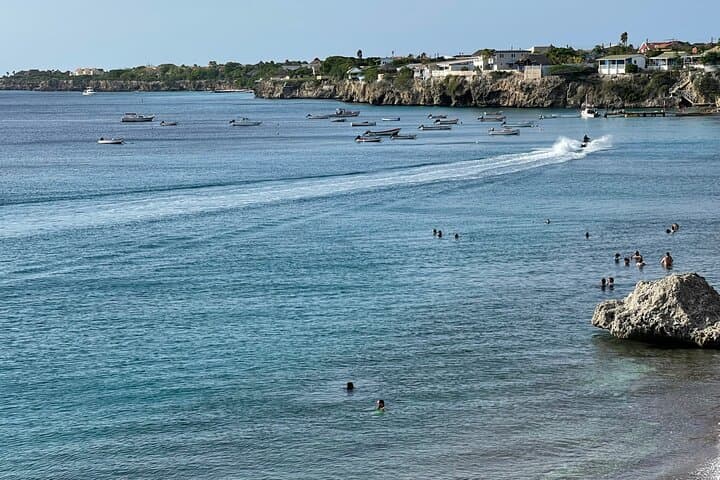 Beach-Hopping Curacao: Private 11‑Seat Minivan Tour to Flamingos, Pigs & Turtles photo 3