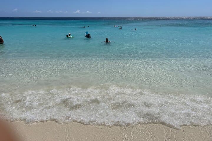 Beach-Hopping Curacao: Private 11‑Seat Minivan Tour to Flamingos, Pigs & Turtles photo 5