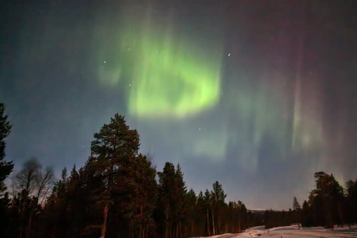 Ivalo Backcountry Sleighride — Moonlit Lake Northern Lights Experience
