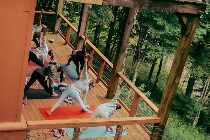Group Reset Yoga & Sound Healing — Private Asheville Yoga with Crystal Bowls photo 4