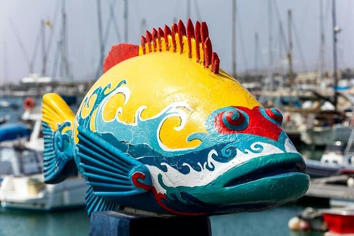 Corralejo Express: Day Trip to La Oliva and Corralejo Dunes from Costa Calma photo 3