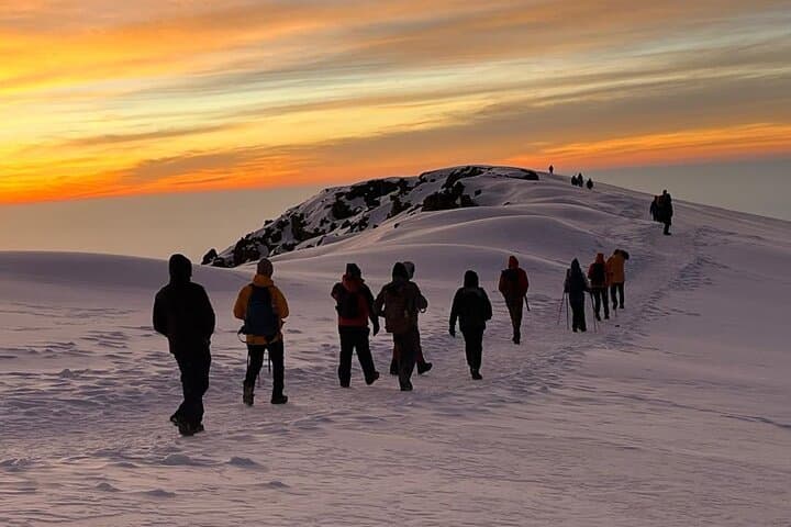 7-Day Guided Mount Kilimanjaro Climb via Machame Route — Machame 7-Day Trek photo 5