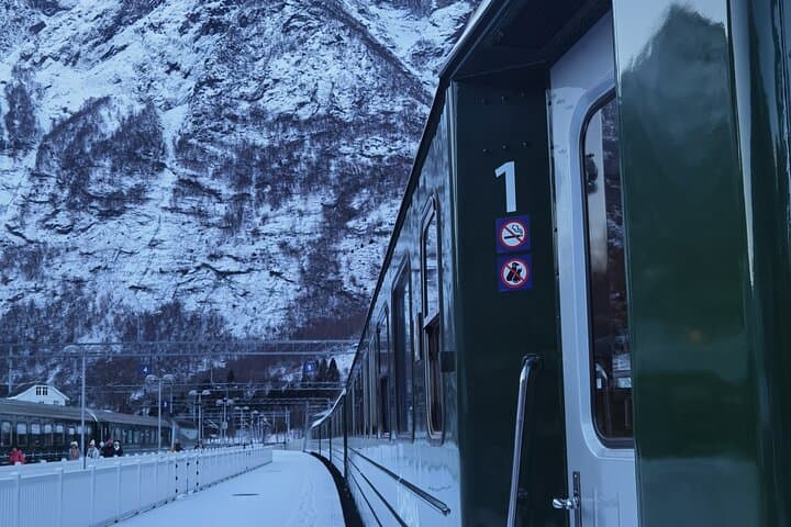 Day Trip from Bergen to Flåm: Nærøyfjord Cruise, Flåm Railway & Stegastein Viewpoint photo 4