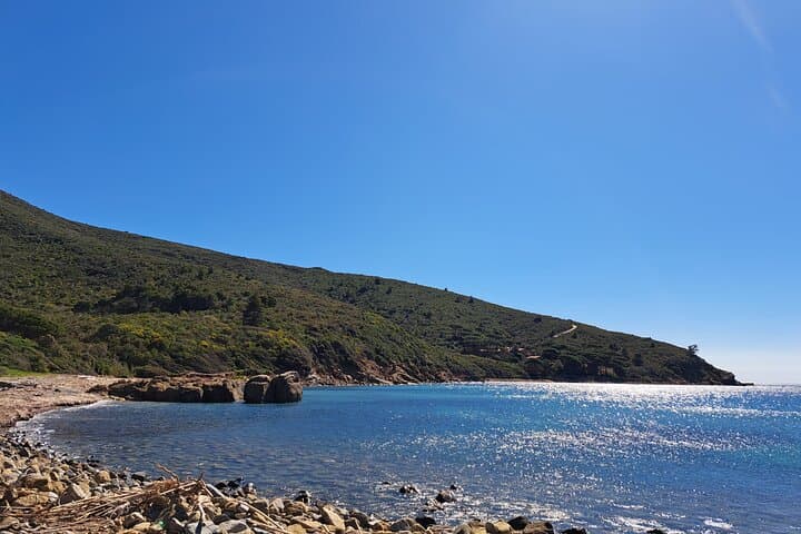 Paddle to Fonza: Canoe & SUP Excursion from Marina di Campo, Elba photo 4