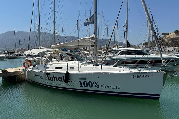 Electric Sunset Dolphin Cruise in Denia — Silent Sail to Cabo de San Antonio photo 1