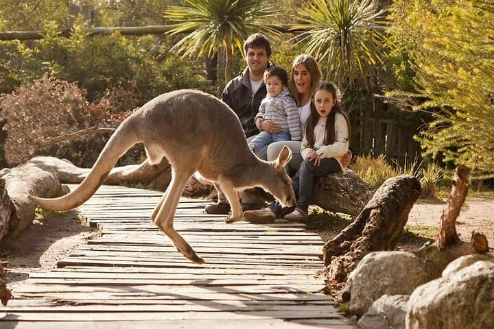 Explore Temaikén Biopark: Day Tour from Buenos Aires to Escobar