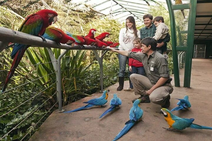 Explore Temaikén Biopark: Day Tour from Buenos Aires to Escobar photo 5