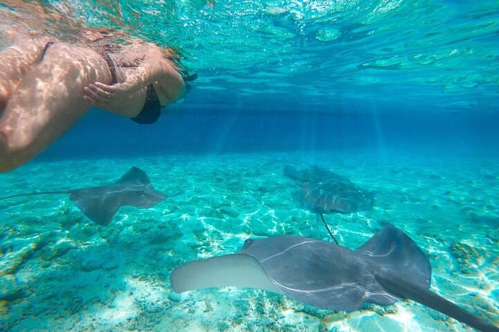 Private One-Day Komodo Tour: Padar, Dragons, Pink Beach & Manta Snorkel photo 4