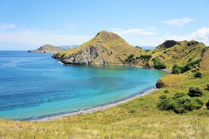 Private One-Day Komodo Tour: Padar, Dragons, Pink Beach & Manta Snorkel photo 5
