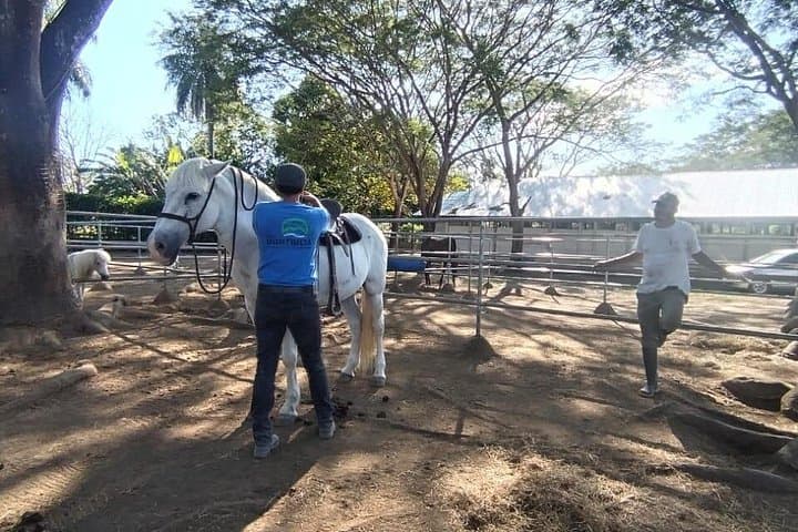 Guanacaste Cowboy Experience: Beginner Equestrian Classes in Costa Rica photo 5