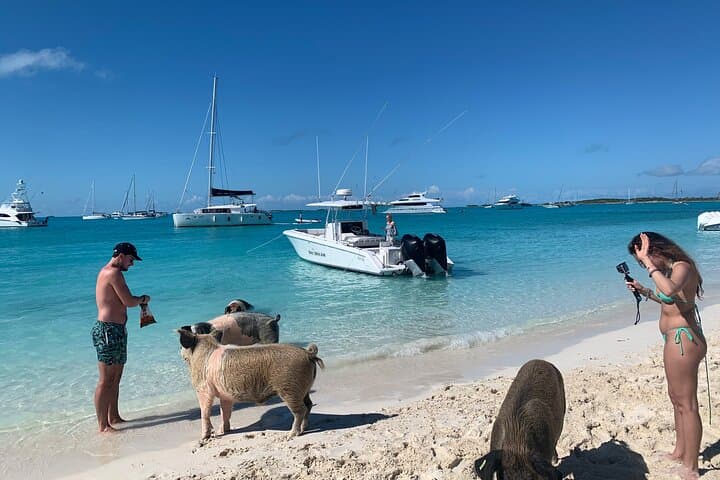 Private Fishing and Swimming Pigs Excursion from Nassau — Spanish Wells Fishing and Snorkel photo 6