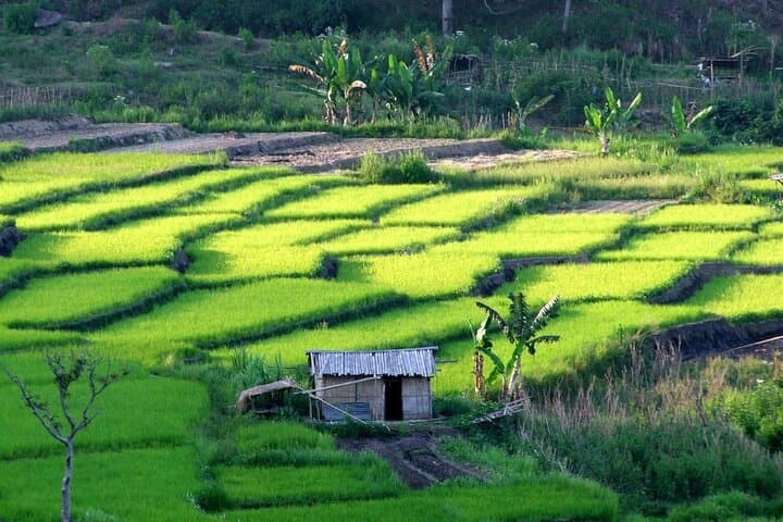 Wae Rebo 2-Day Trek: Overnight in a Traditional Mbaru Niang photo 4