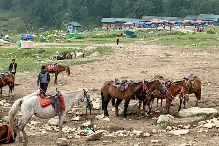 Gulmarg Private Day Trip from Srinagar: Gondola, Golf Course & Pony Rides photo 6