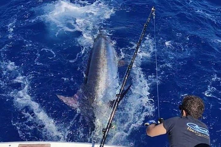 Macaronesia Charter Fishing in Lanzarote: Bluefin, Marlin & Tuna Expeditions photo 2