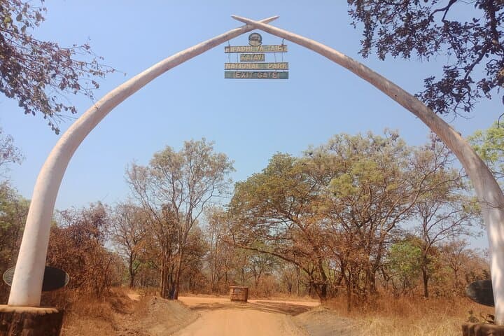 Private Katavi Safari: 3-Day Wildlife Encounter in Remote Tanzania