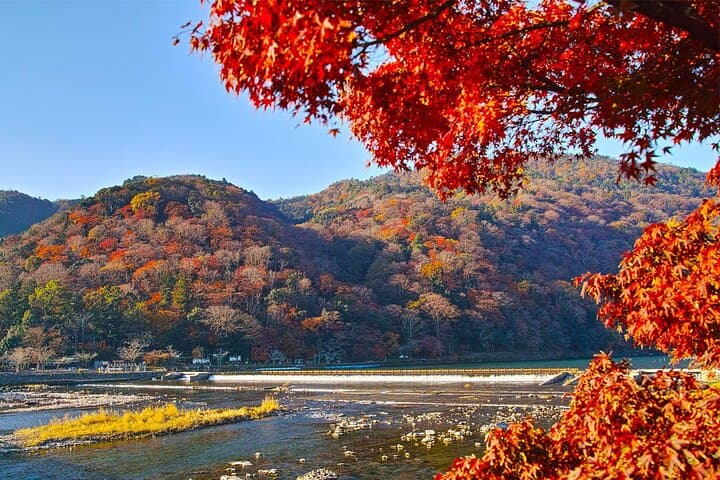 Full-Day Kyoto Highlights: Kifune Shrine, Sanzen-in, Arashiyama Bamboo Forest & Yuzen Korin photo 3