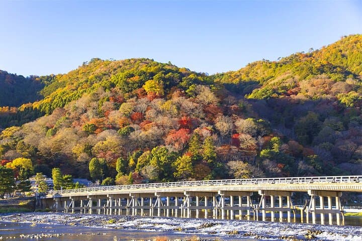 Full-Day Kyoto Highlights: Kifune Shrine, Sanzen-in, Arashiyama Bamboo Forest & Yuzen Korin photo 4