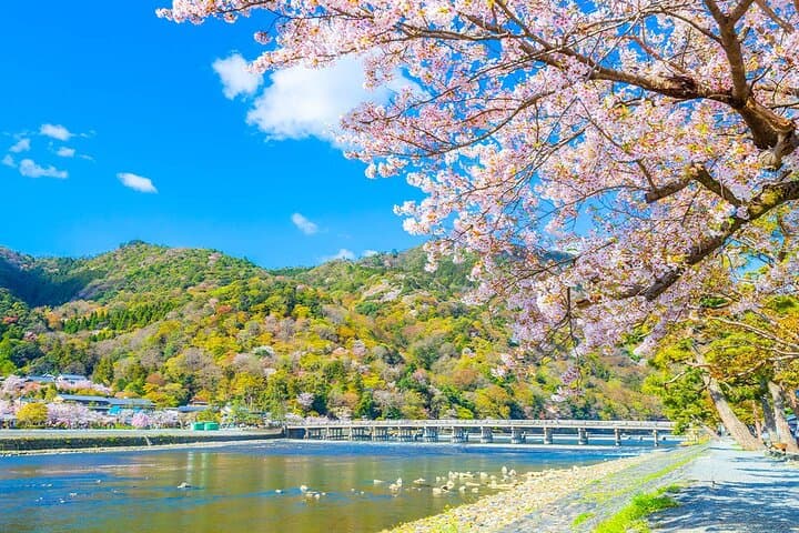 Full-Day Kyoto Highlights: Kifune Shrine, Sanzen-in, Arashiyama Bamboo Forest & Yuzen Korin photo 6