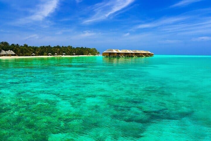 Half-Day Male Adventure: Sandbank, Snorkel & Dolphin Cruise photo 5