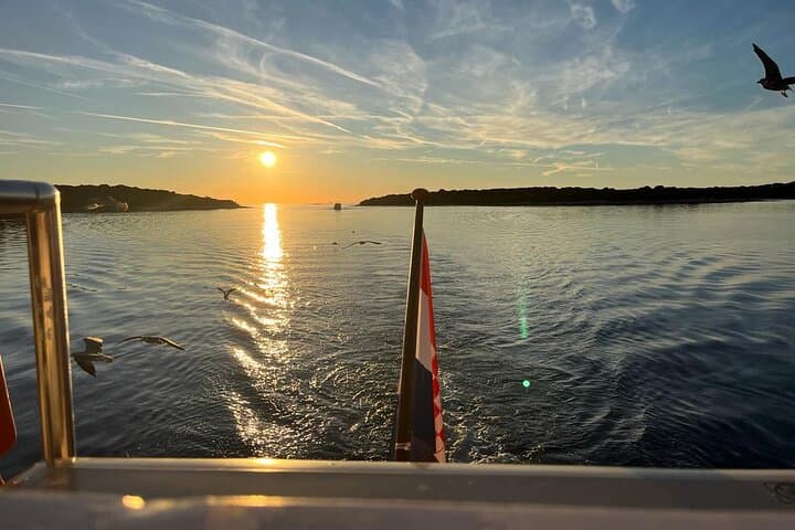 Sunset Dolphin Cruise and Istrian Dinner from Pula to Brijuni photo 6