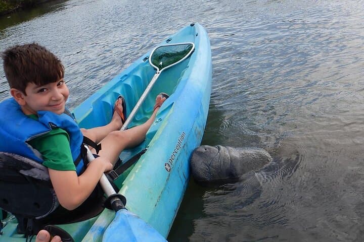 Space Coast Manatee & Dolphin Kayak Tour — Titusville Wildlife Refuge