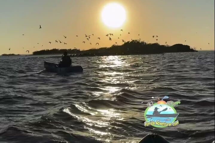 Sunset Kayaking at Titusville Wildlife Refuge — Manatees, Dolphins & Bioluminescence